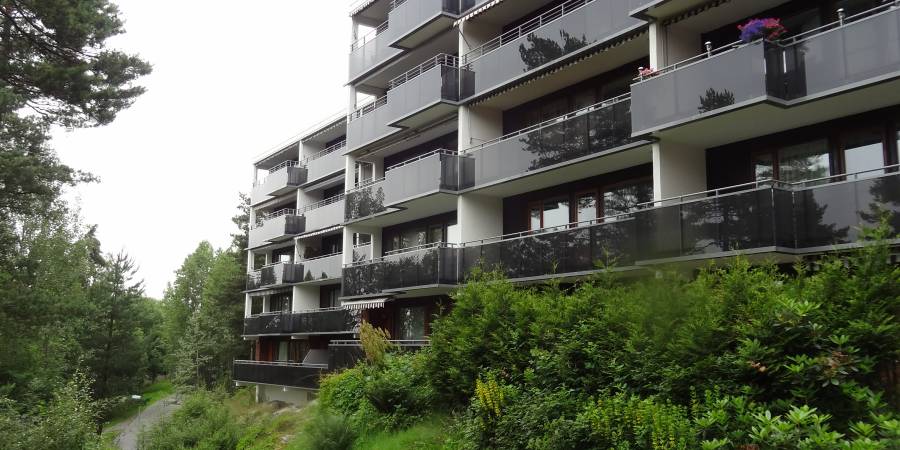 Ellingsrud-bilde